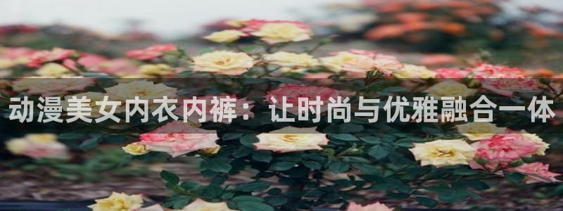 里番动漫火影忍者