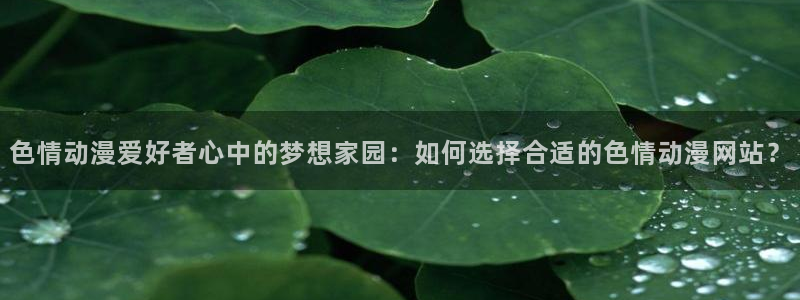 樱花里番动漫：色情动漫爱好者心中的梦想家园：如何选择合适的色情动漫网站？