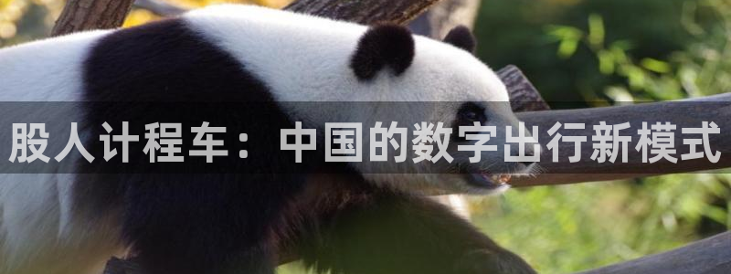 日本里番动漫排行榜：股人计程车：中国的数字出行新模式