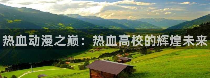火影里番动漫：热血动漫之巅：热血高校的辉煌未来