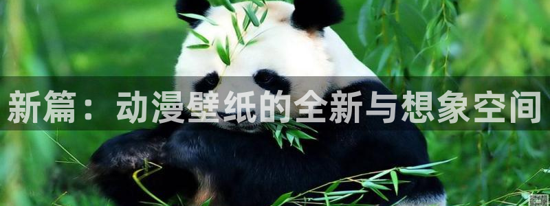 最经典的里番动漫：新篇：动漫壁纸的全新与想象空间